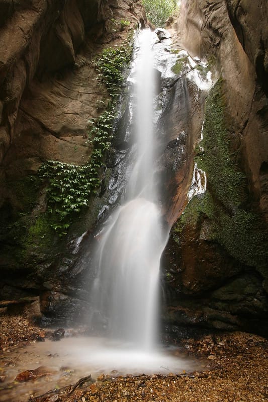 Gombe National Park