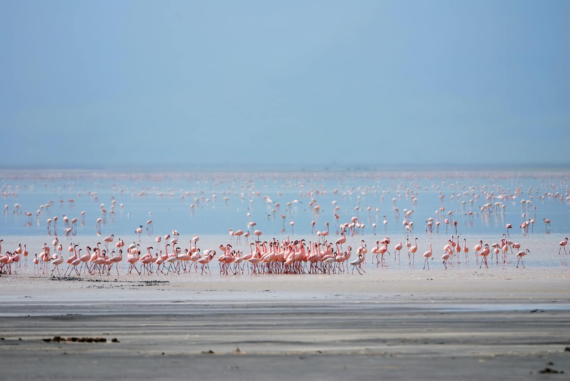 Lake Manyara Lake Manyara