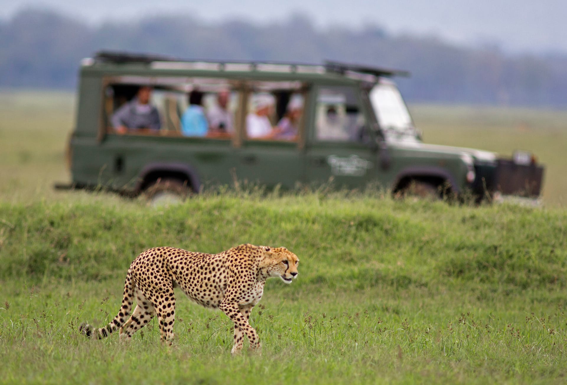 Travel Insurance Tanzania Travel Insurance Tanzania