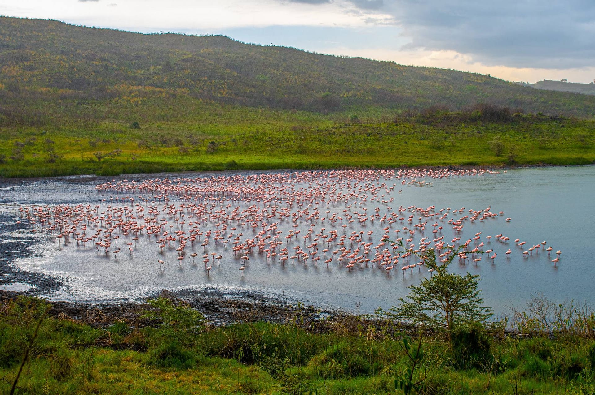 Arusha National Park
