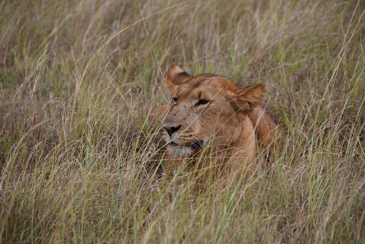 Lake Nakuru