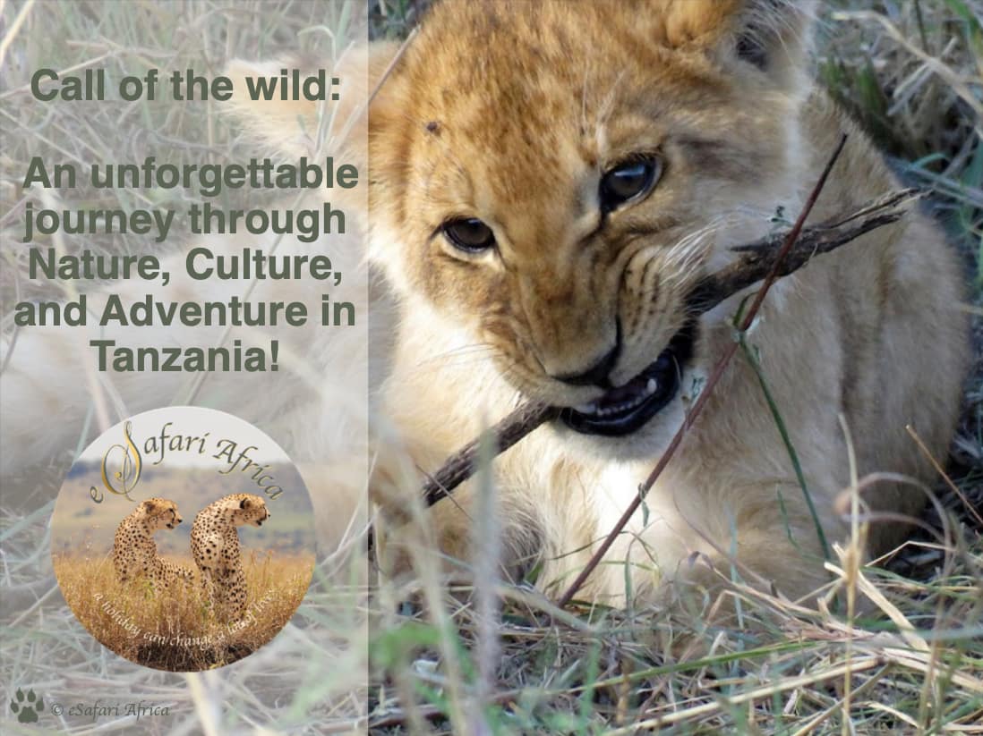 Explore Tanzania