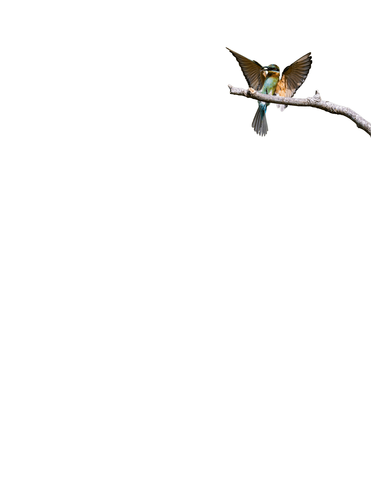 Madagascar