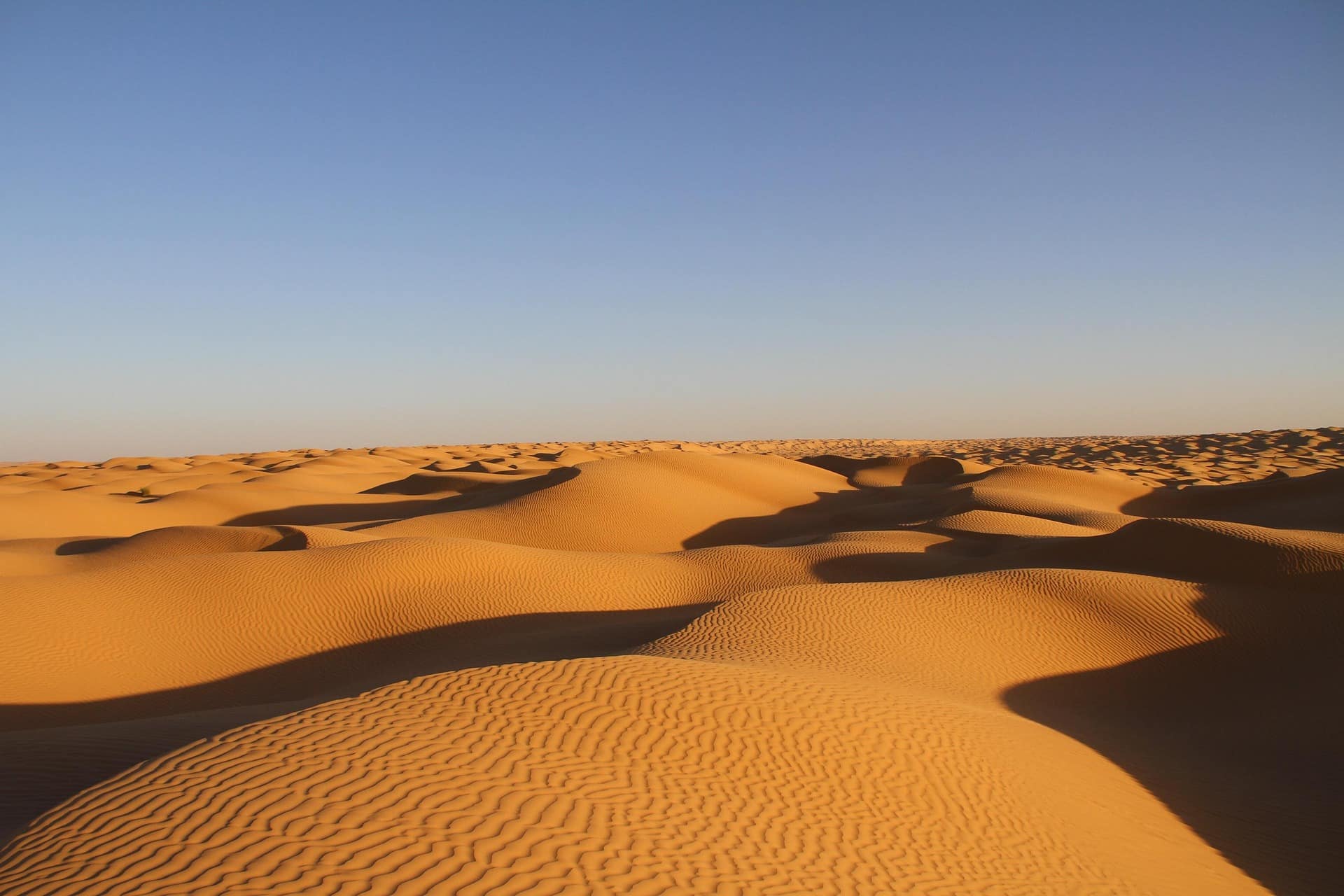 Tunisia Tunisia