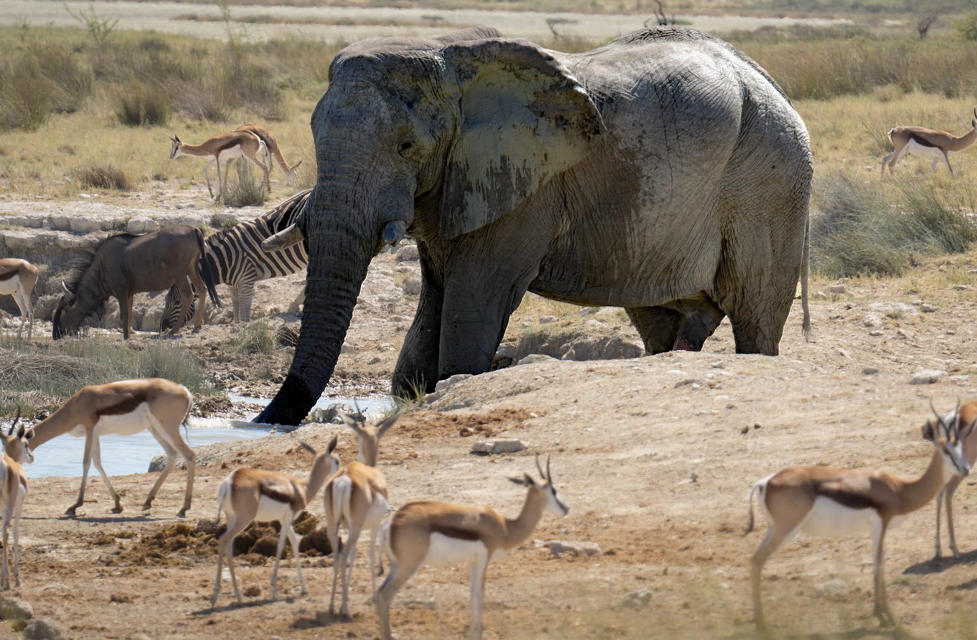 Namibia Namibia