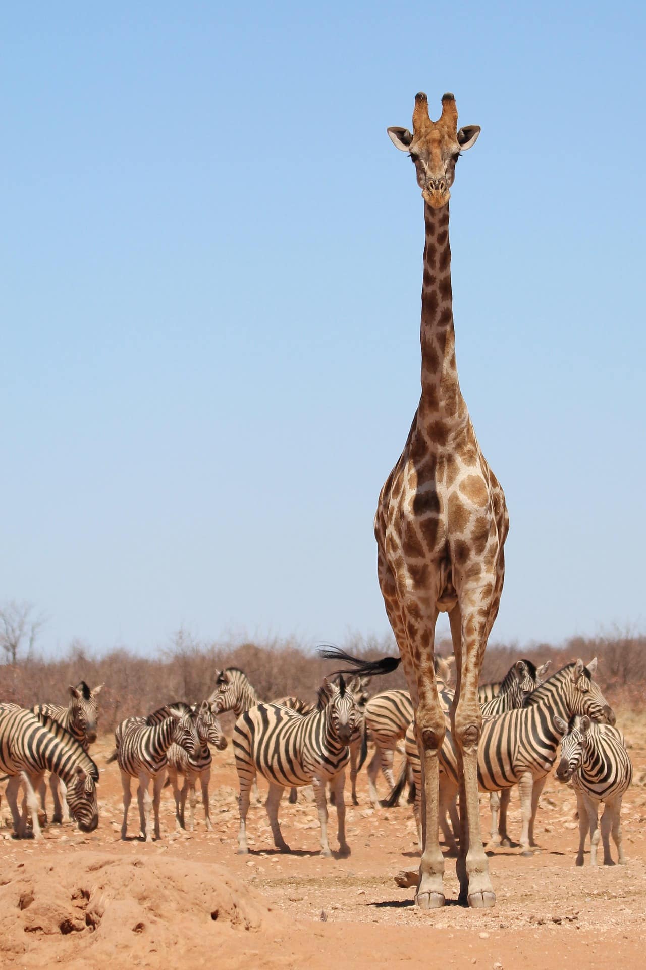 Namibia Namibia