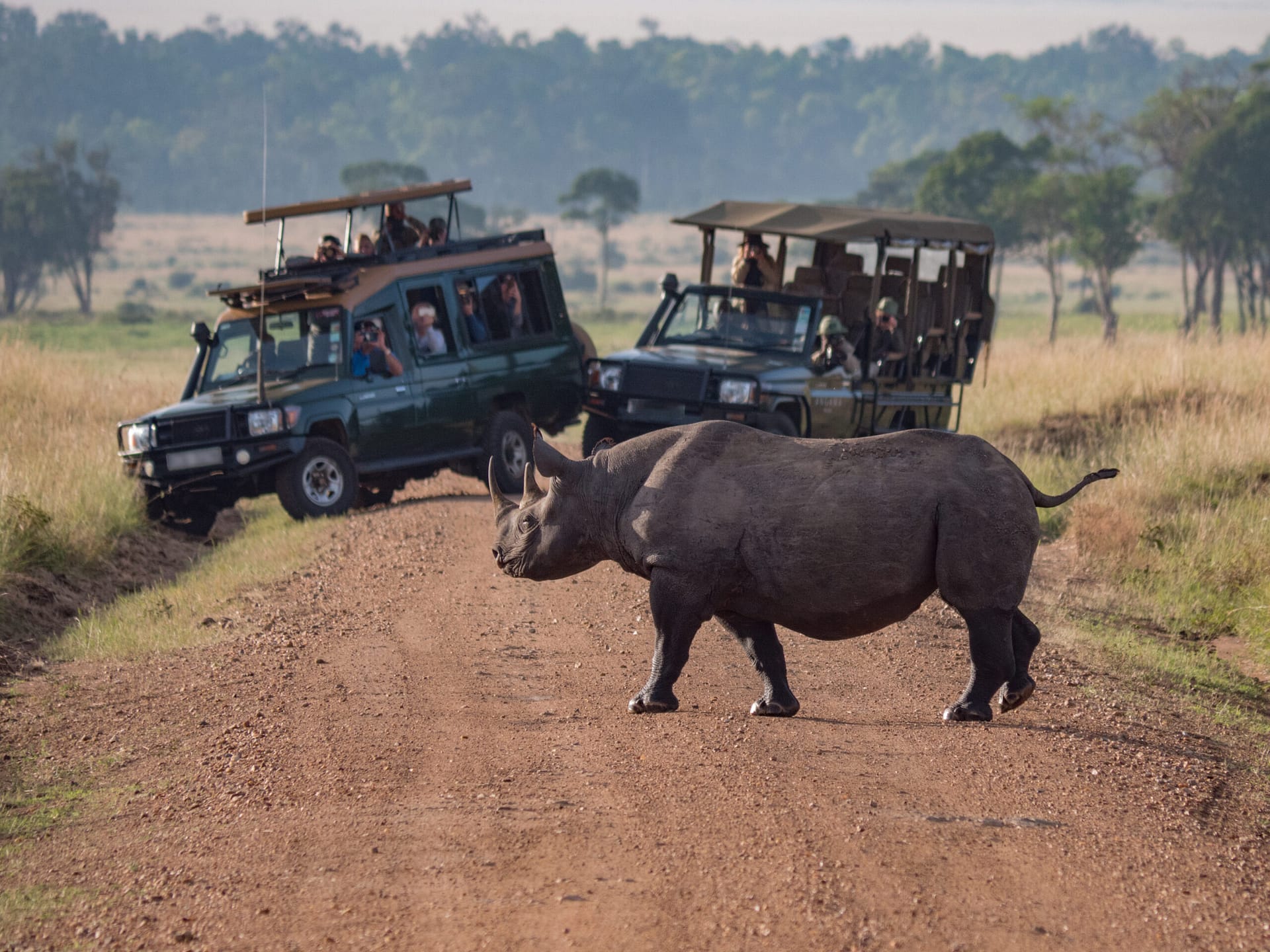 Safari in Kenya