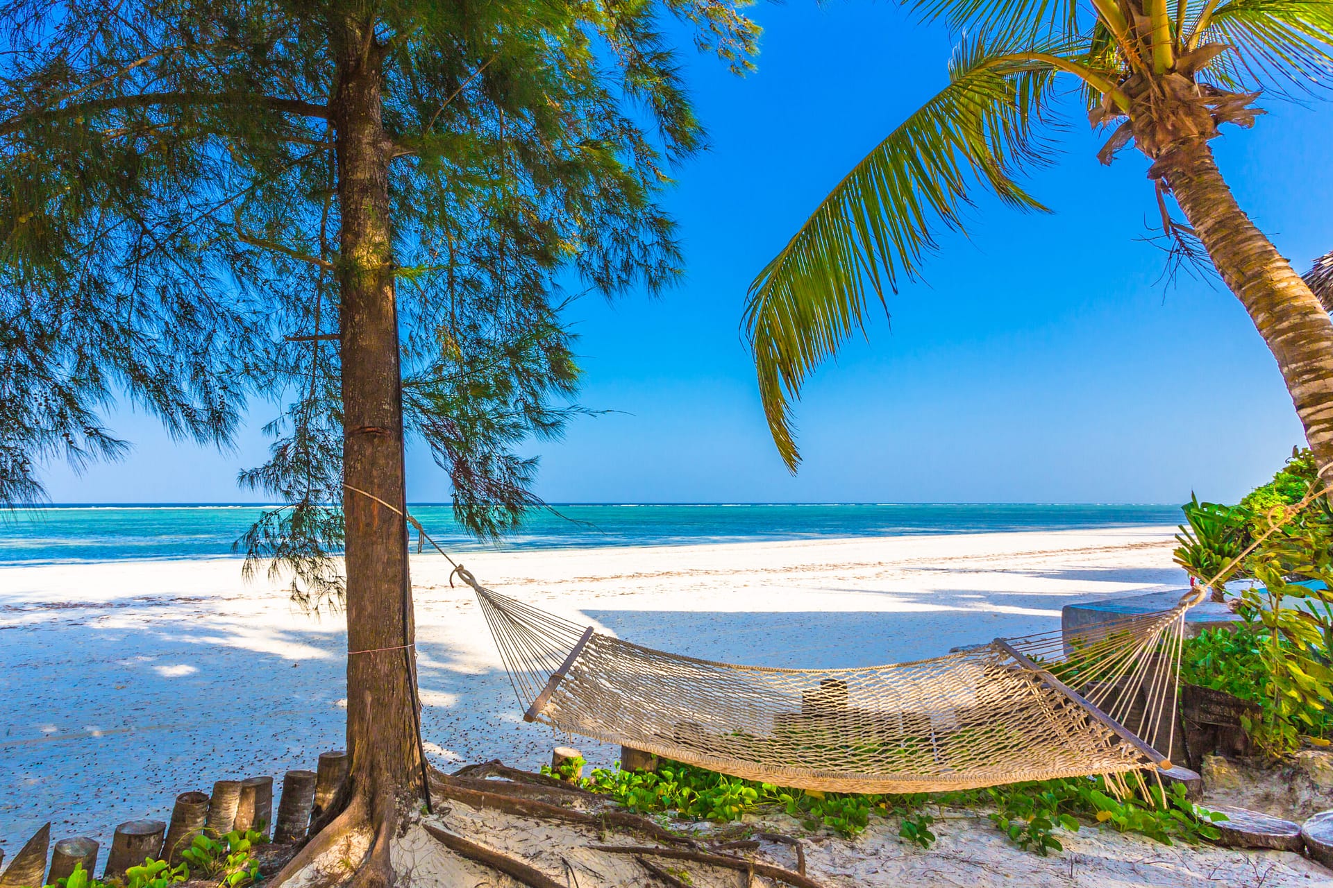 Travel guide of Zanzibar