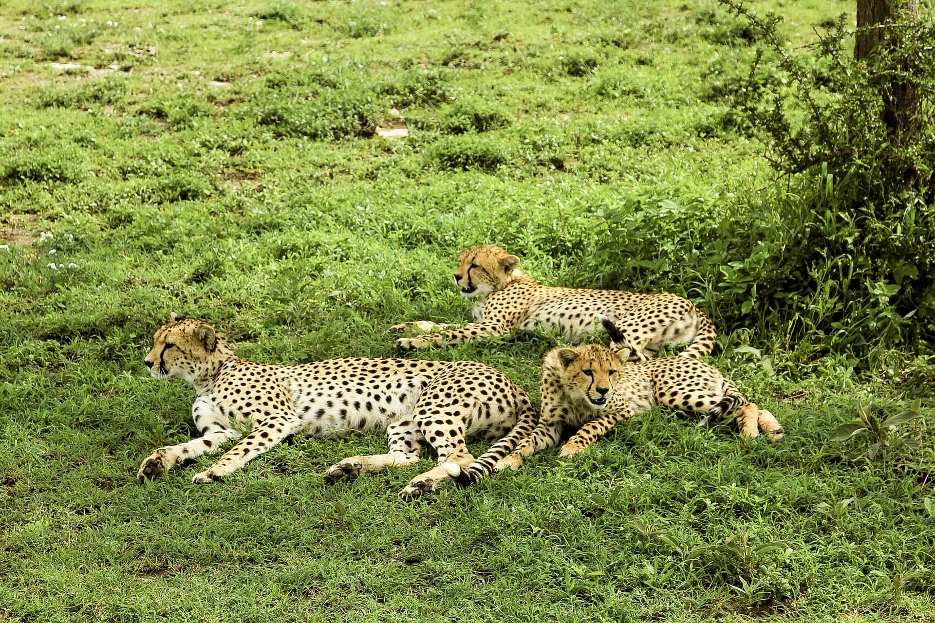Tarangire National Park Tarangire National Park