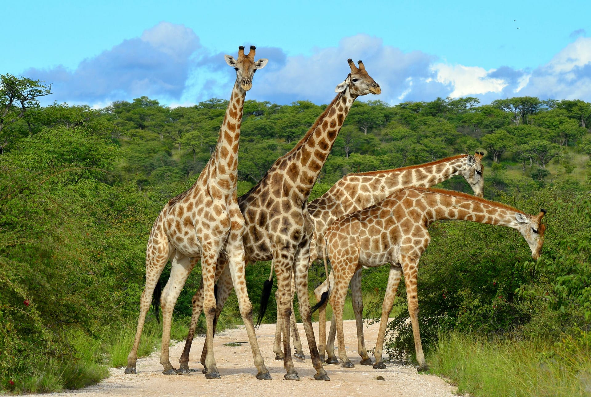 Tarangire National Park Tarangire National Park