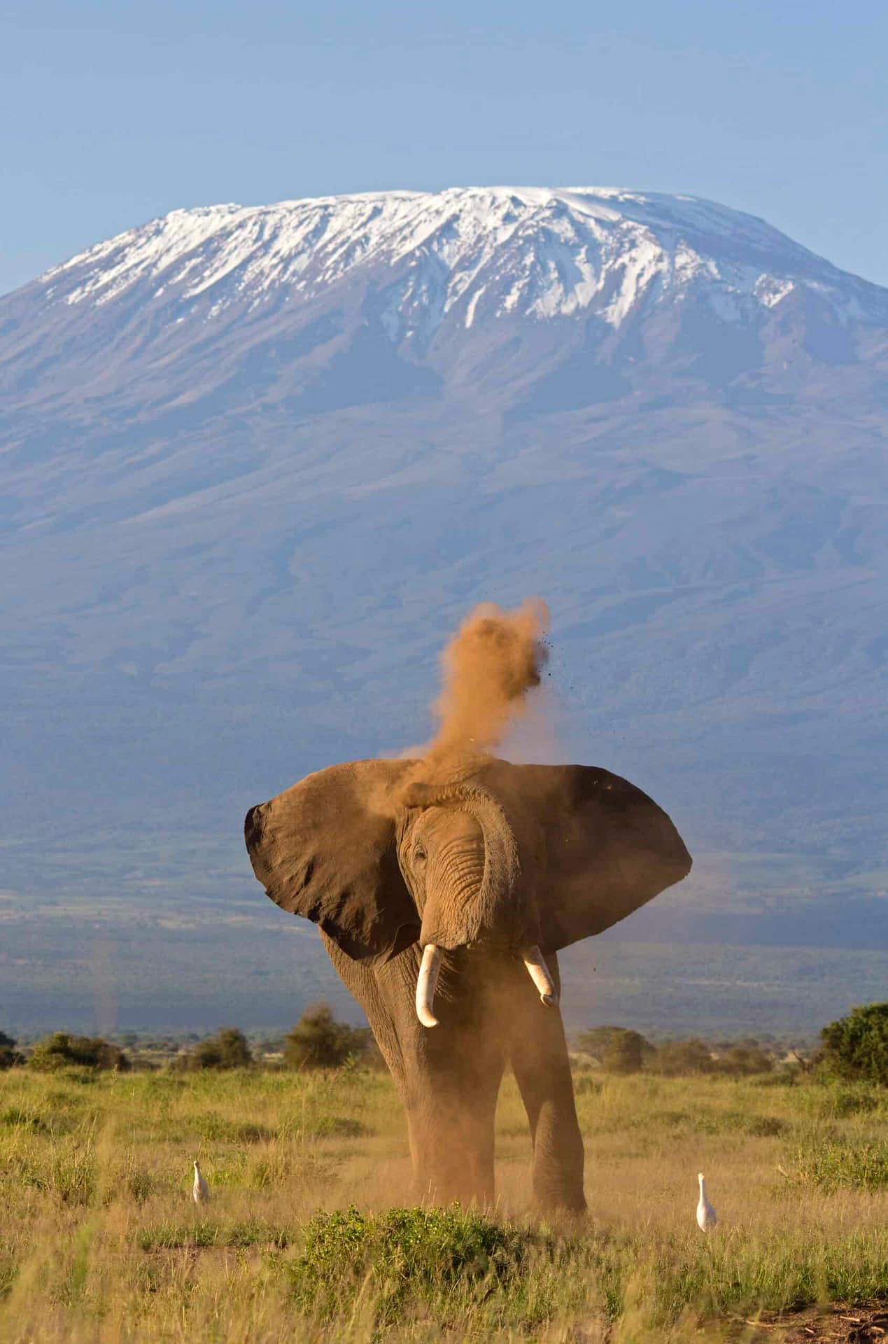Amboseli National Park Amboseli National Park