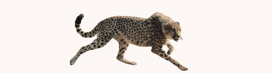Serengeti National Park Serengeti National Park
