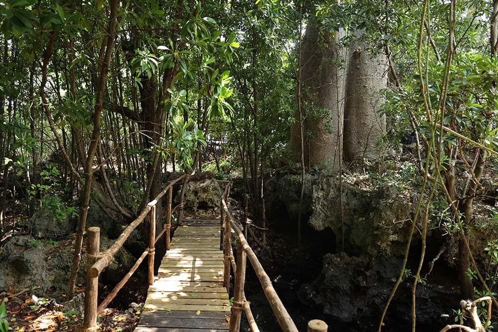 Chumbe Island Coral Park