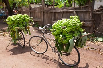 City tours Arusha