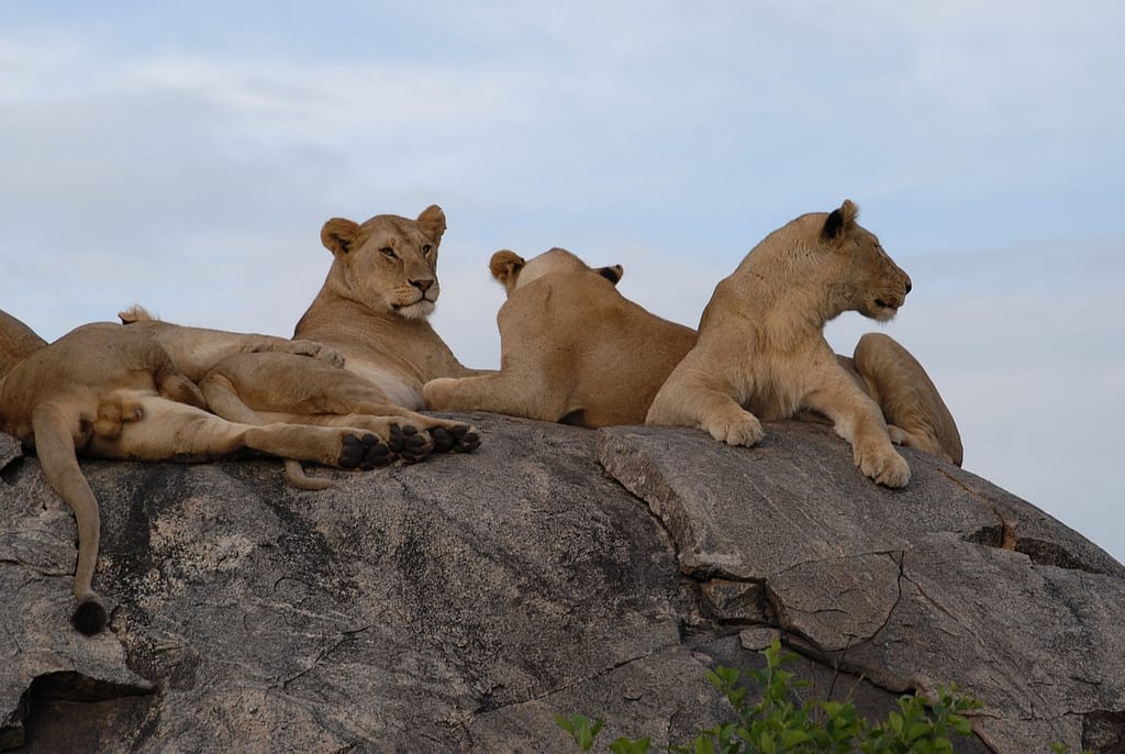 Serengeti National Park