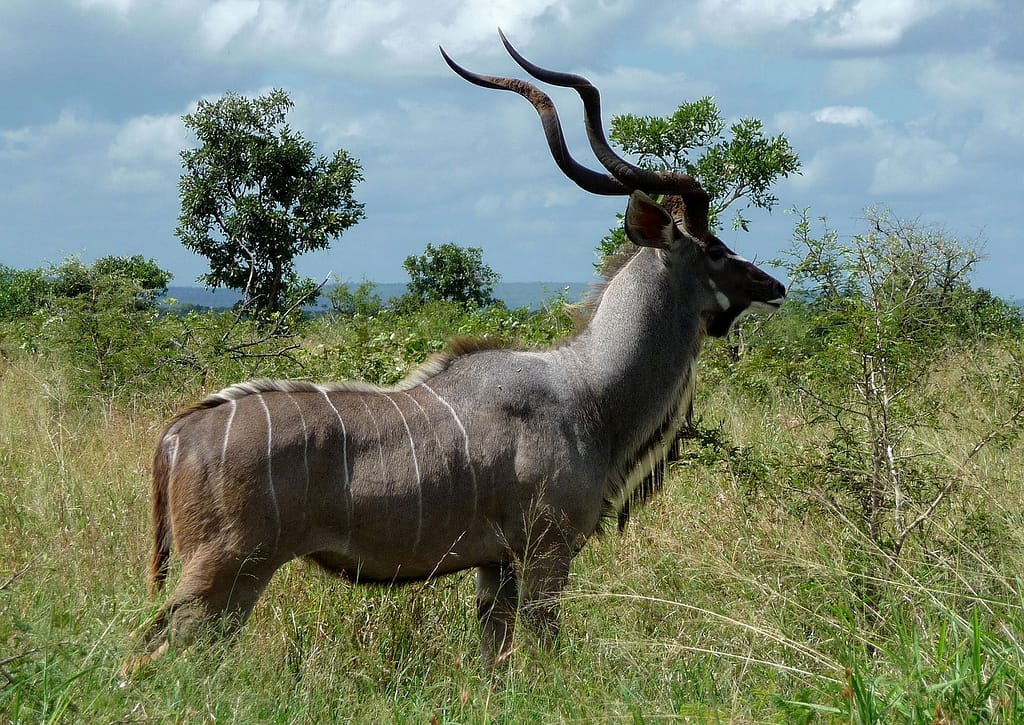 Serengeti National Park