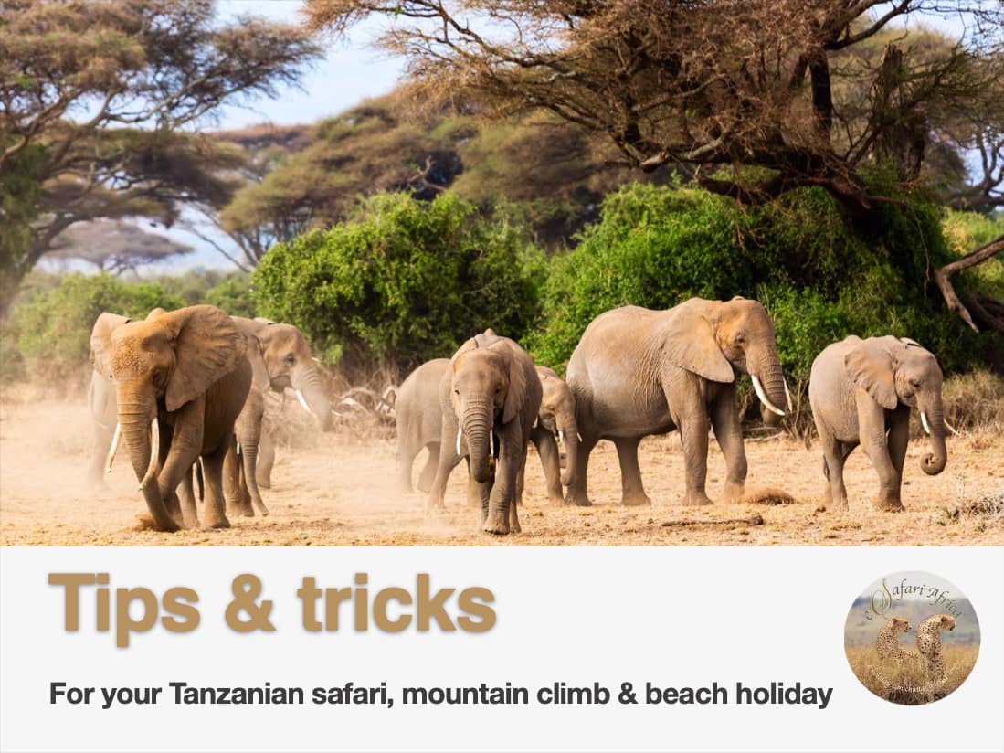 Tips&Tricks for your Tanzanian safari, mountain climb & beach holiday