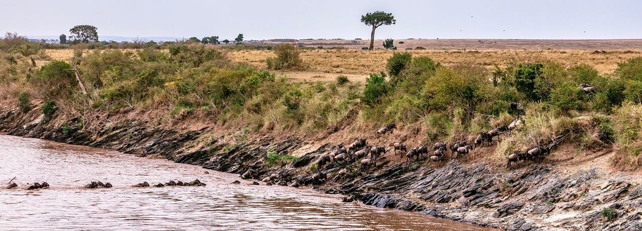 Masai Mara