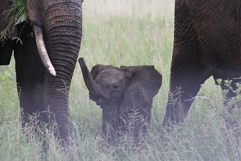 Arusha National Park