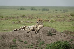 Explore Kenya