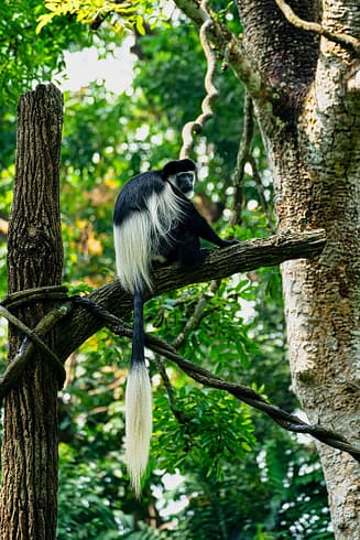 Arusha National Park