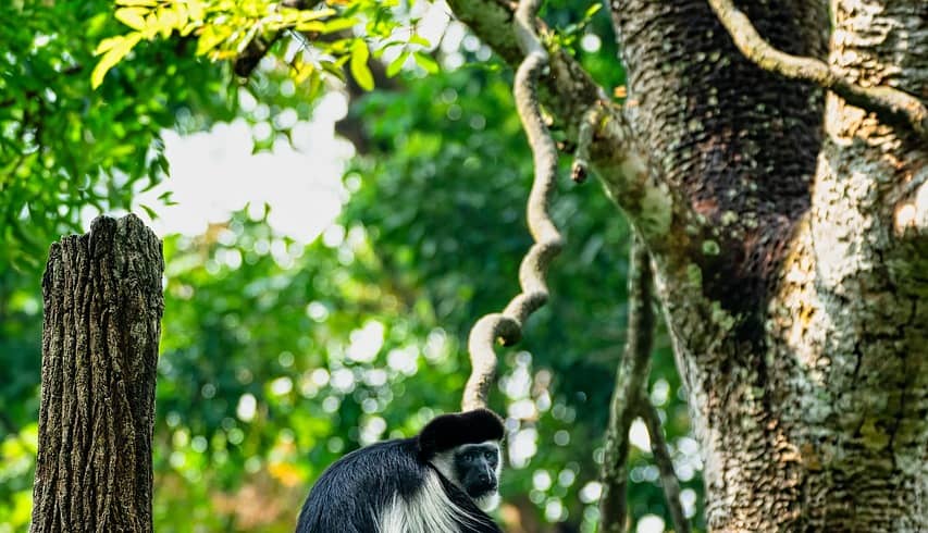 Arusha National Park