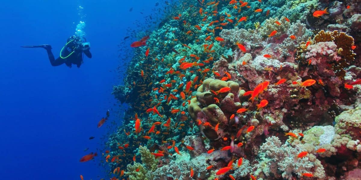 Chumbe Island Coral Park