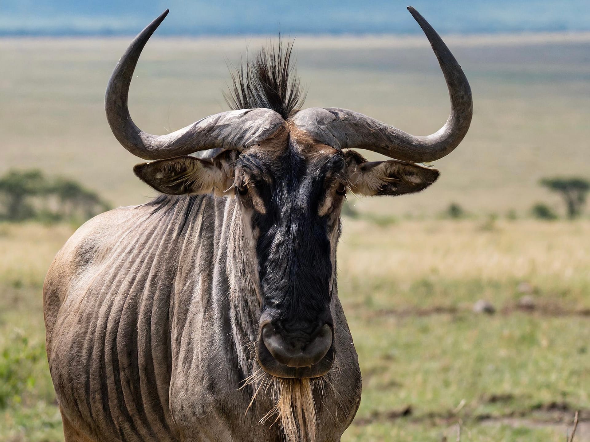 Serengeti National Park