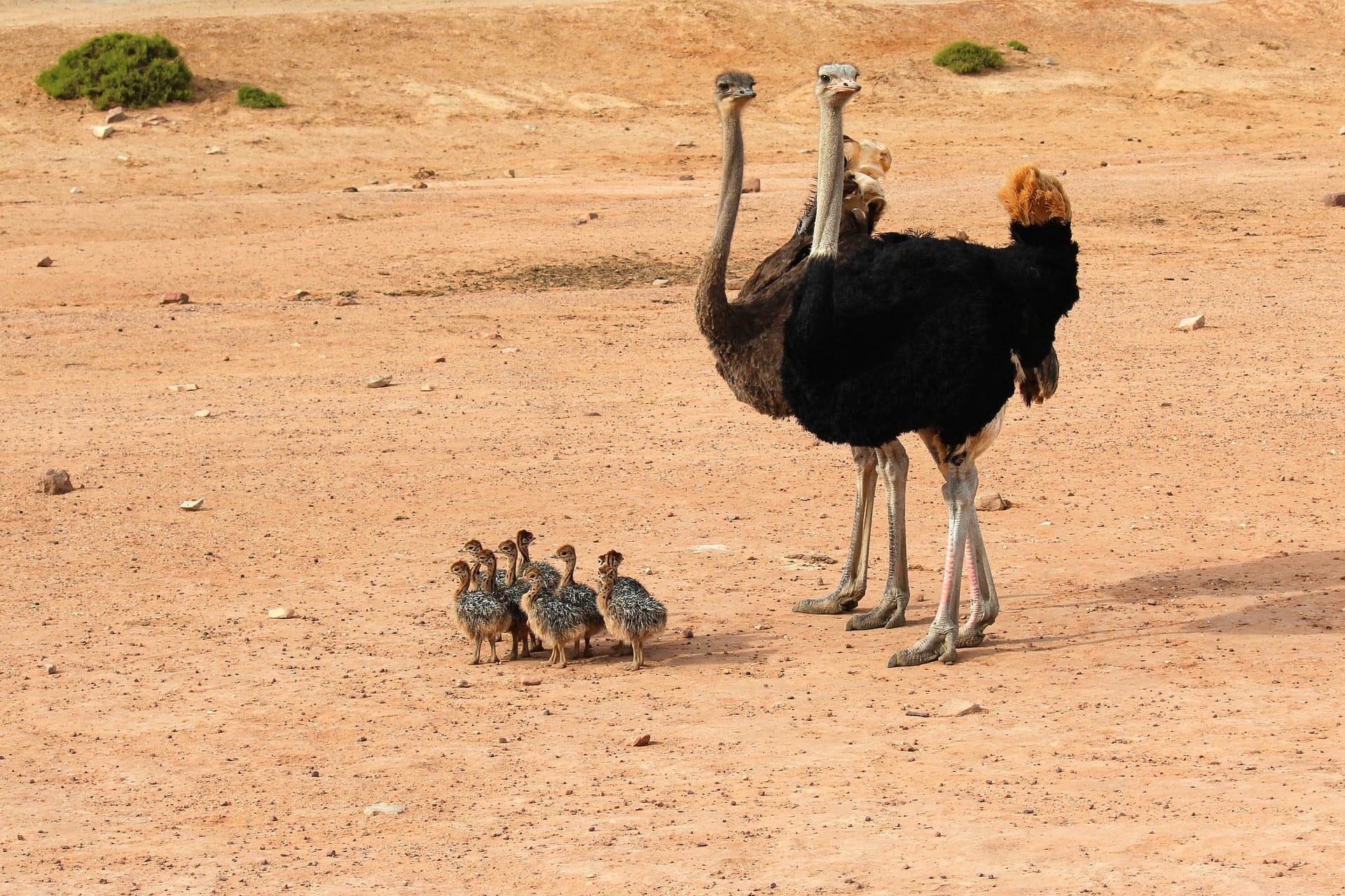 Arusha National Park