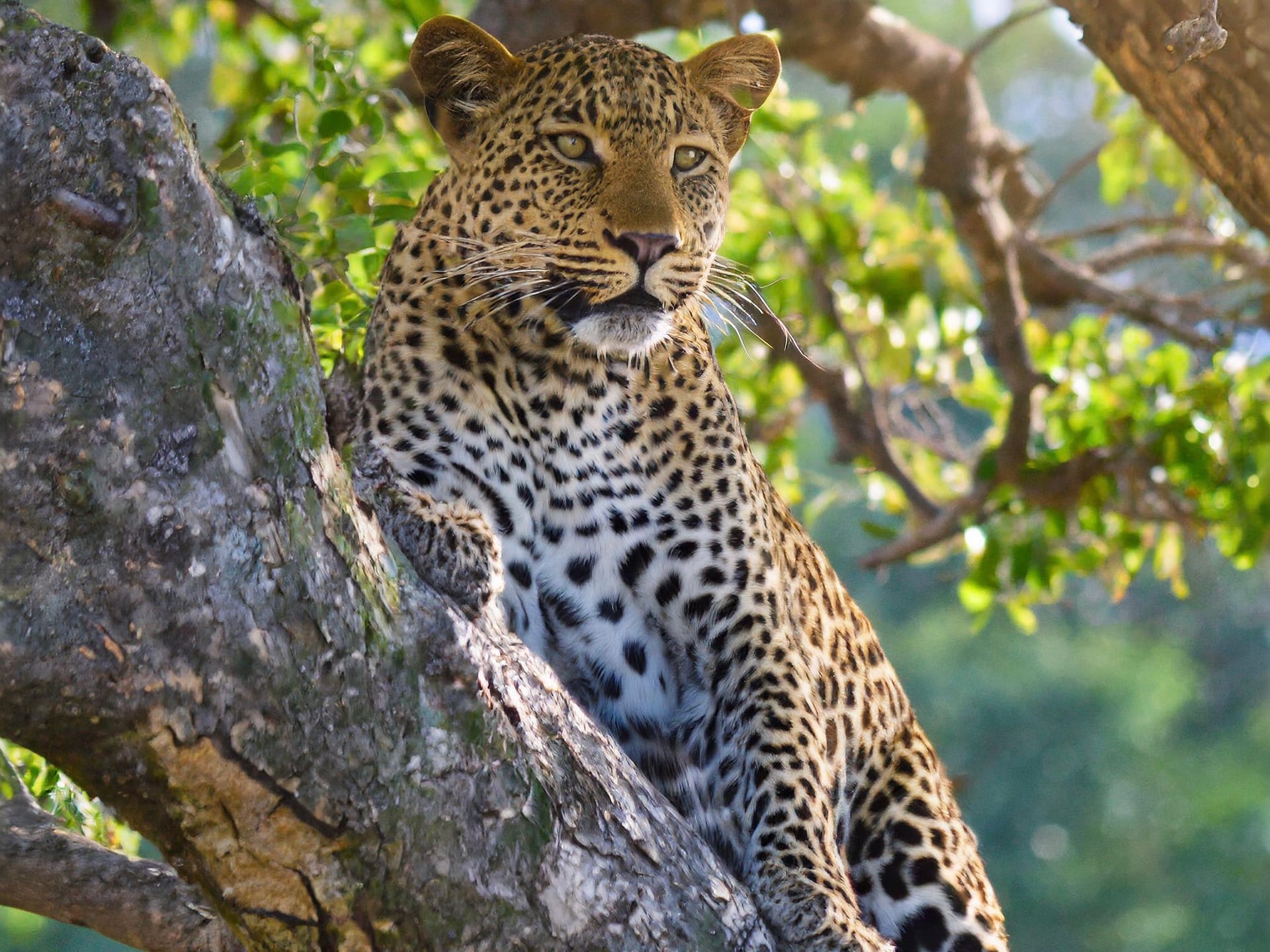 Serengeti National Park