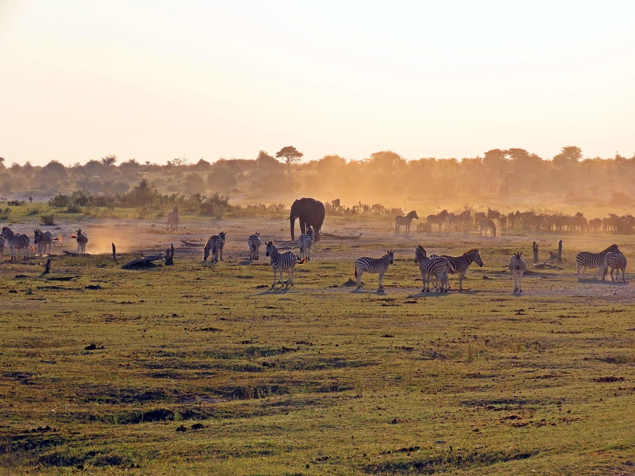 Botswana Botswana