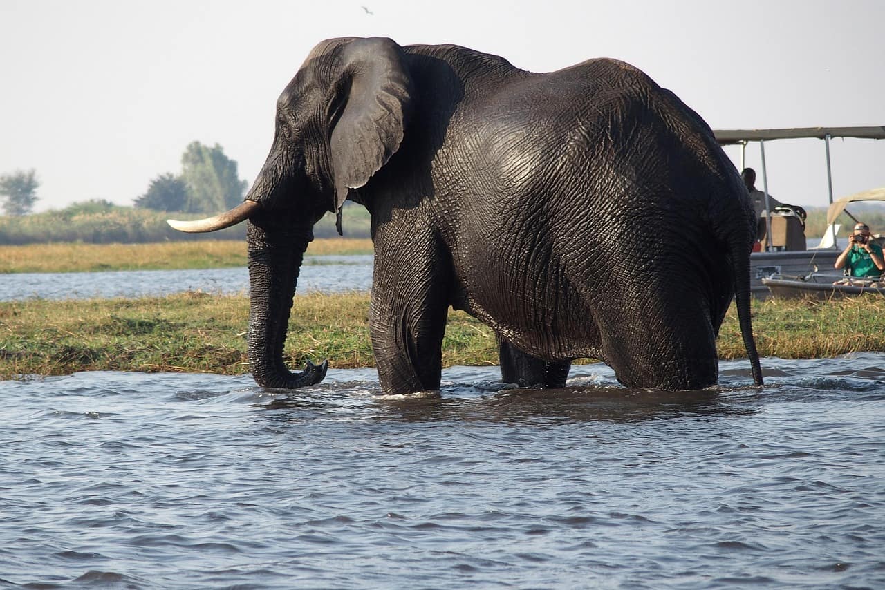 Botswana Botswana